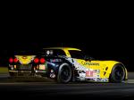 Chevrolet Corvette C6.R GT2 2010 года